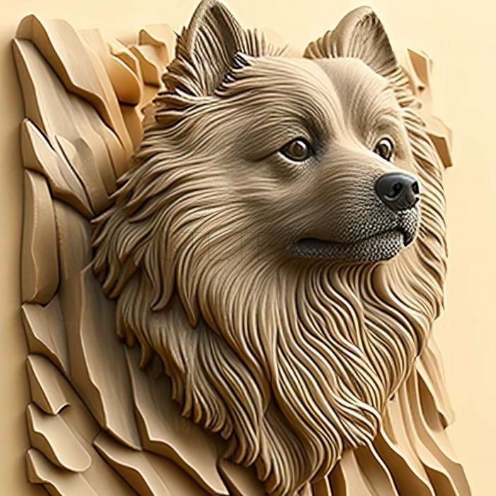 3D модель Кеесхонд собака (STL)